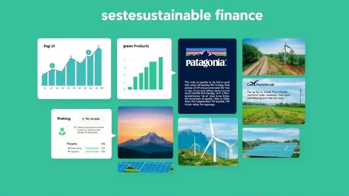 Case studies of successful sustainable finance initiatives Case studies of successful sustainable finance initiatives